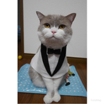 バトラー服