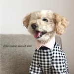 チェックＴシャツ