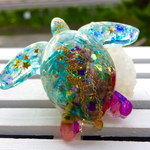 ビック☆海亀さん