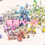 ラ フルール様専用ページ