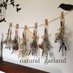 ラベンダー   garland