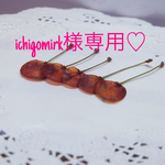 ichigomirk様専用  押しフルーツ 