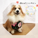 コーギー(♀)　雨上がりエプロン＊花柄DRAK brown　女の子