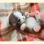 おねがいにゃんこＮｏ．36