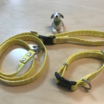 【犬用首輪・リードセット】ヒマワリチェック