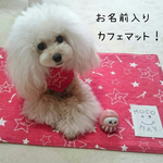 再販6  ☆柄 リバーシブル 犬猫用カフェマット【タグ名前入り】