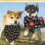 【再2】犬用リバーシブルバンダナ❤️さくら&小梅選べるサイズ3種