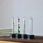 ストームグラスと植物標本No.4