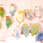 小鳥クリップ　セキセインコ・オカメインコ・小桜インコ