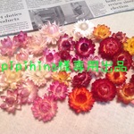 pipihina様専用出品