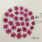 ♡sale♡¥650→¥500 送料無料 バーベナ 30枚 押し花