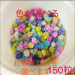 ドライフラワーかすみ草☆花粒150粒☆小