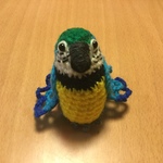misa124さま専用♡ルリコンゴウインコちゃん（大型インコ）