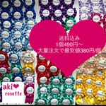 【送料無料】 ロゼット ロゼッタ ❤︎安価で高品質を目指します！