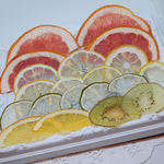 送料無料！押しフルーツ 押し花 セット