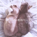 葵 紅峰 様オーダー専用ページです（他のお客様は購入お控えください）