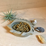 ハリネズミのご飯皿 灰色 ③