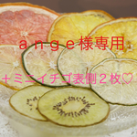 送料無料！押しフルーツ 押し花 セット