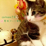catmamさま専用ページ＊＊