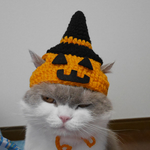 [魔女帽子付き] 🎃ジャック・オー・ランタン