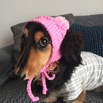 17AW#1 犬用ニット帽