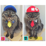 お弁当柄三角襟ネクタイ猫ちゃんの首輪