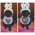 再入荷！ブドウモチーフエプロン猫ちゃんの首輪