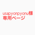 usapyonpyonu様専用オーダー作品