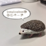 tanukochan様専用ページ