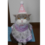🎂バースデーハット 