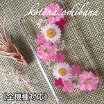 《全機種対応》♡pinkの素敵な花便り♡ラメラメ押し花ケース♡