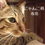 チェリークォーツとパールのリング