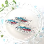 aquarium ネオンテトラ＊ブローチ