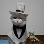 シルクハット🎩