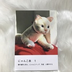 にゃんこ本（作品写真集）