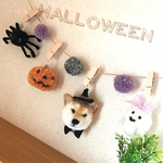 動物ぽんぽん🎶ハロウィンガーランド（柴犬）
