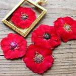 押し花【薔薇ロザミニ10個入】自然赤