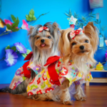 【お仕立て】生地持ち込み、犬浴衣制作(シンプル襟) 12Kgまでの小型犬用