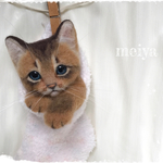 ☆miyonsawaraさまご購入ご予約品くつしたにゃんこ☆彡アビシニアン