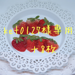 送料無料！押しフルーツ 押し花 苺セット