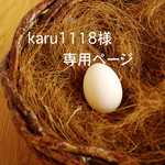 karu1118様専用ページ