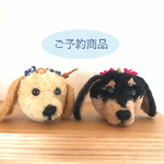 1965yu 様 ★ 専用 動物ぽんぽん ミニチュアダックス
