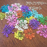 Bセット:新色入荷  ❁﻿ネイル 押し花 ドライフラワー かすみ草  セット レース 小花 レジン 埋め込み