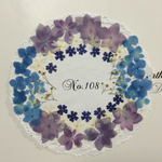 ♡sale♡ 送料無料！¥980 押し花セット 