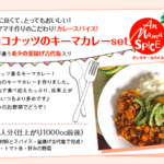 KIDSもOK「ココナッツのキーマカレースパイスset」身体に良くて、とってもおいしい！ アンママ手作りのこだわり!カレースパイス!