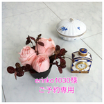 ご予約専用 ダンゴウオ