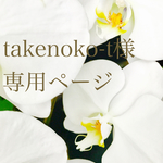 takenoko-t様専用ページ