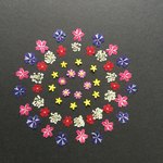 押し花  花便り NO.800