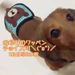 SS・S・Mサイズ《オーダーOK》マナーベルト(ワンちゃんオムツカバー)受注生産の為、柔軟に要望にお応えできます♡
