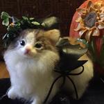 子猫のハロウィン